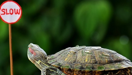 Layanan Antar Paling Cepat Kurir Jakarta