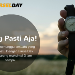 ParselDay